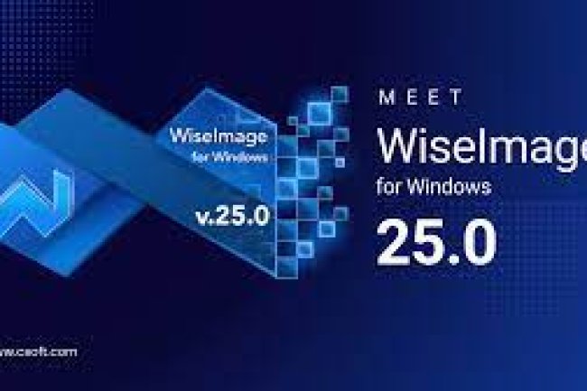 WiseImage Active Script Studio Doesn’t Execute Code