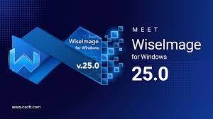 WiseImage Active Script Studio Doesn’t Execute Code
